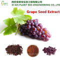 Natural anti-oxidant Grape seed extract powder OPC